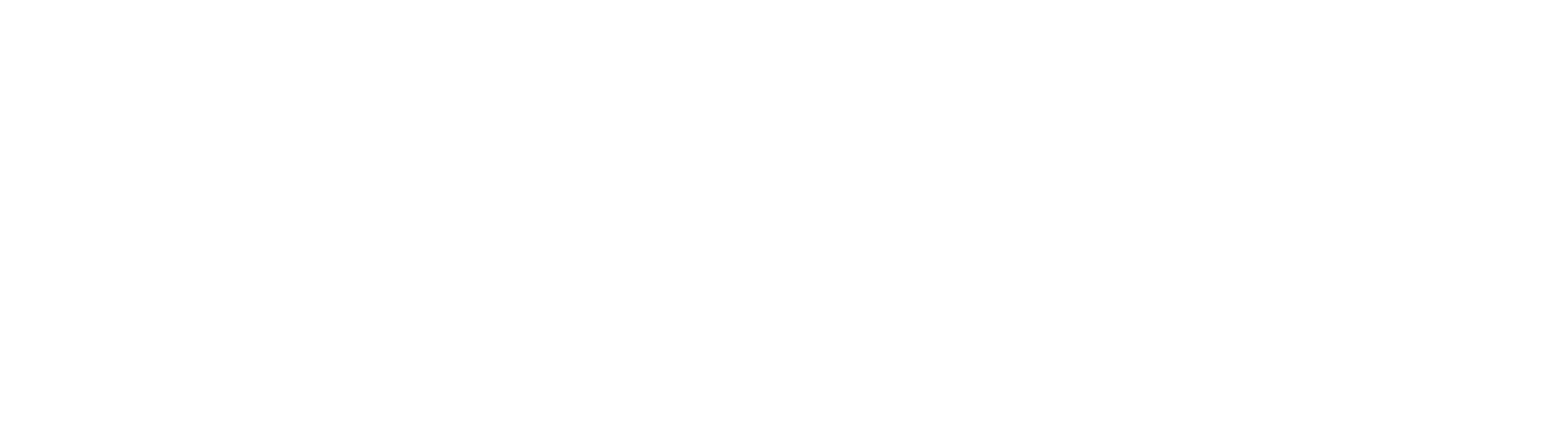 The First Chapter